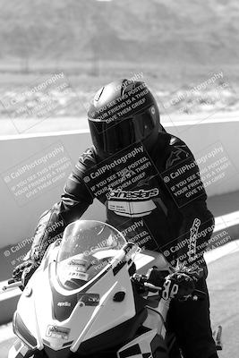 media/Mar-08-2025-TrackXperience (Sat) [[277b597a28]]/1-Around the Pits - Pre Grid/